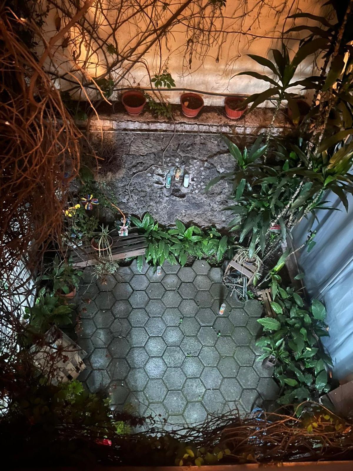 Las Rosas Mexico City Exteriör bild